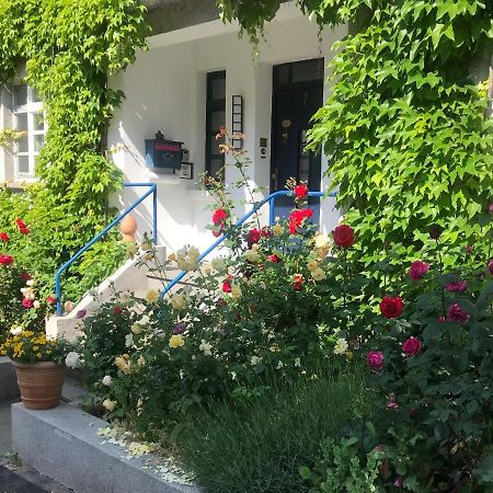 Dierdorf Kunsthaus Mit Gartensauna المظهر الخارجي الصورة