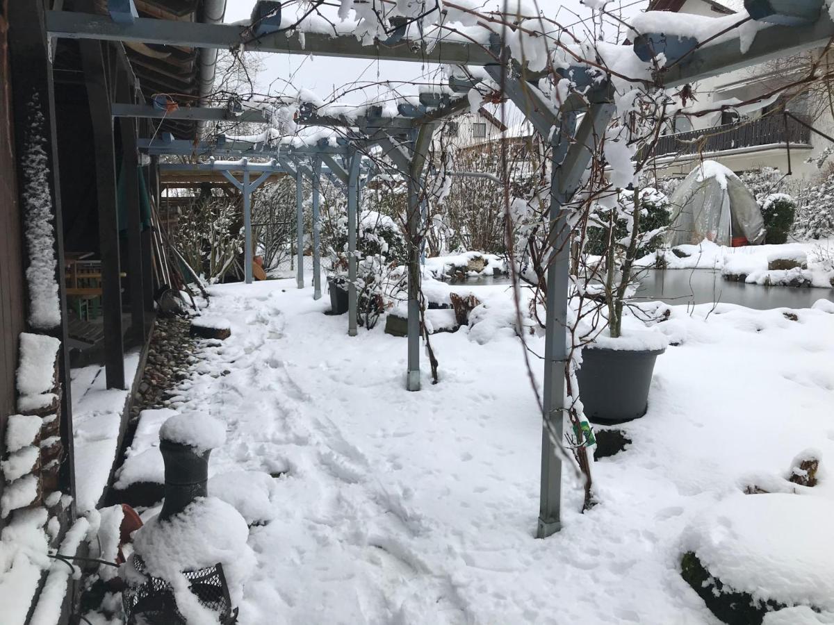 Dierdorf Kunsthaus Mit Gartensauna المظهر الخارجي الصورة