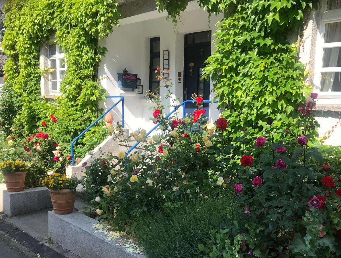 Dierdorf Kunsthaus Mit Gartensauna المظهر الخارجي الصورة